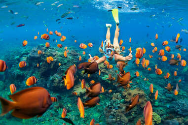 scuba diving bahamas