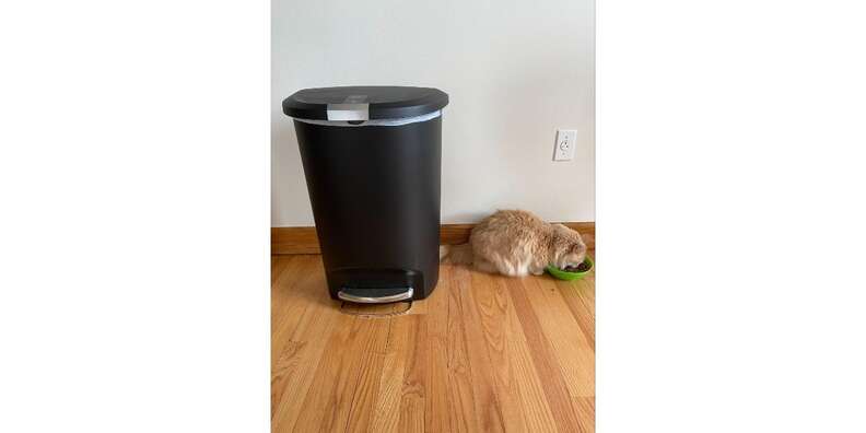 simplehuman 50 Liter / 13 Gal Semi-Round Plastic Step Trash Can, Black