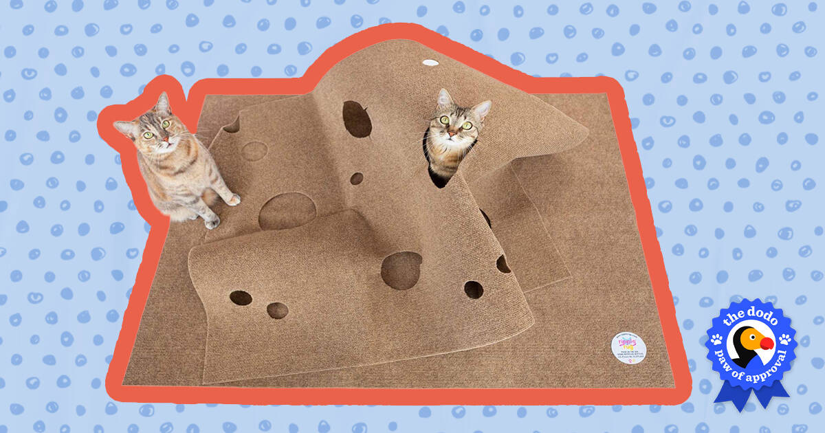 Snuggly Cat Ripple Rug Reviews - Paw of Approval - The Dodo