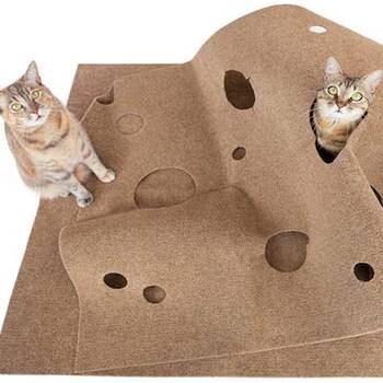 Innovative 2024 cat toys