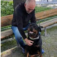 Sweet Rottweiler Comforts Stranger In Park Who Recently Lost His Dog