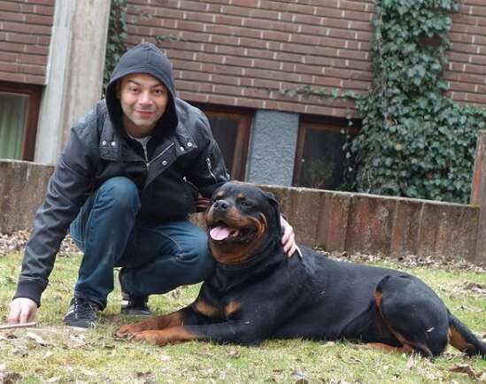 Sweet Rottweiler Comforts Stranger In Park Who Recently Lost His