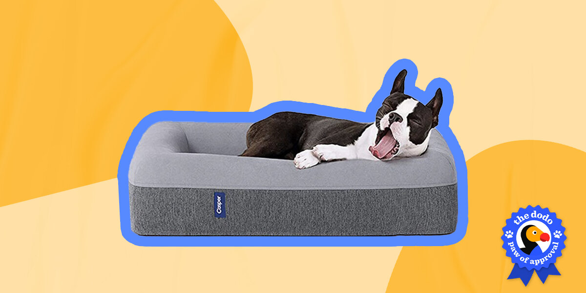 Kong mattress dog outlet bed reviews