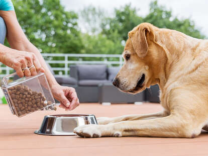 dog food recall june 2021