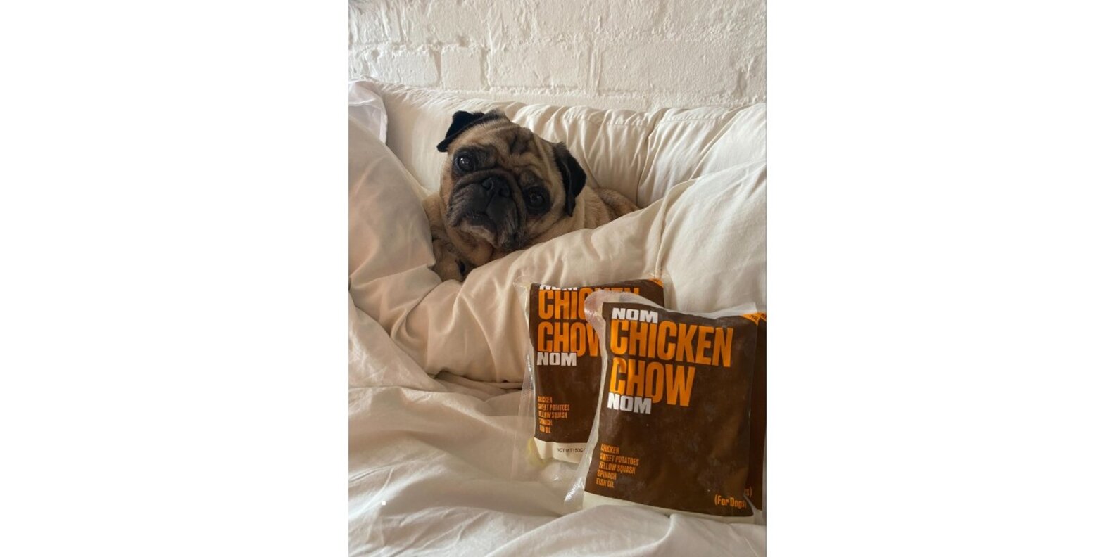 Nom Nom Dog Food Reviews Paw of Approval The Dodo