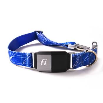 Fi dog collar subscription hot sale cost