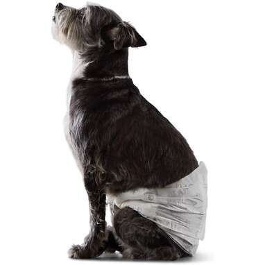 Male Dog Wrap Disposable Diapers