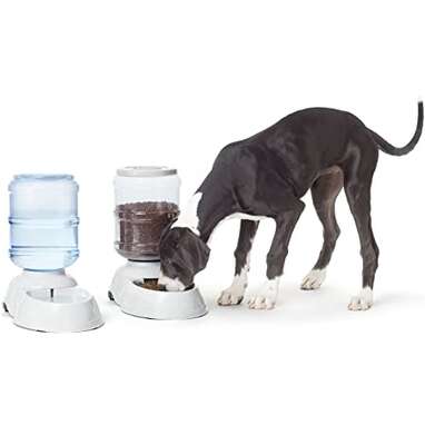 Gravity Pet Food Waterer and Feeder