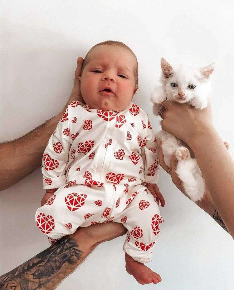 kitten and baby