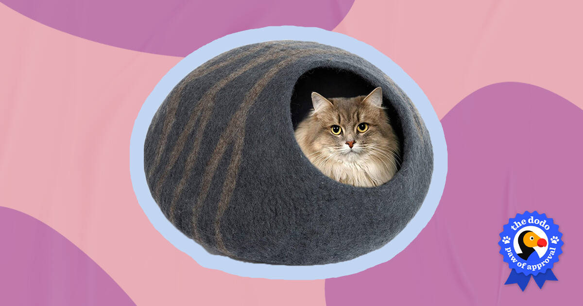 Meowfia premium felt cat bed outlet cave