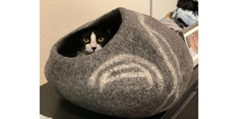 Meowfia premium cat outlet bed cave