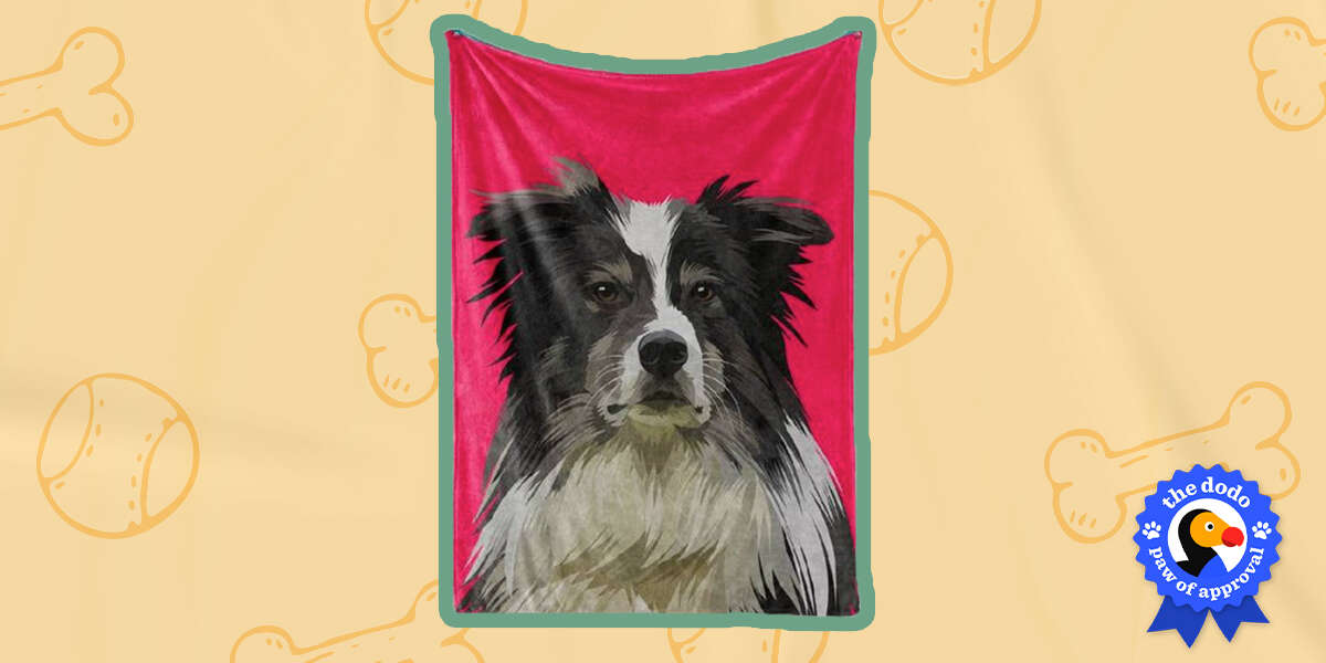 Woof Blankets Custom Pet Blanket Review Paw of Approval The Dodo