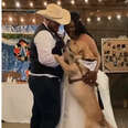 Dog Insists On Joining Newlywed Parents' First Dance