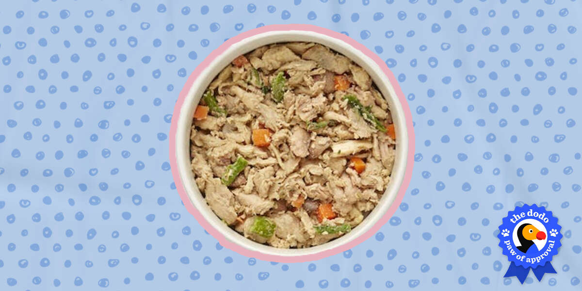 Nom Nom Cat Food Reviews Paw of Approval The Dodo