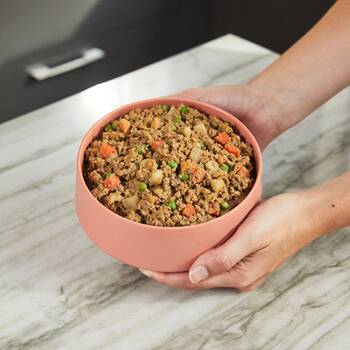 Dog food that 2025 looks like human food