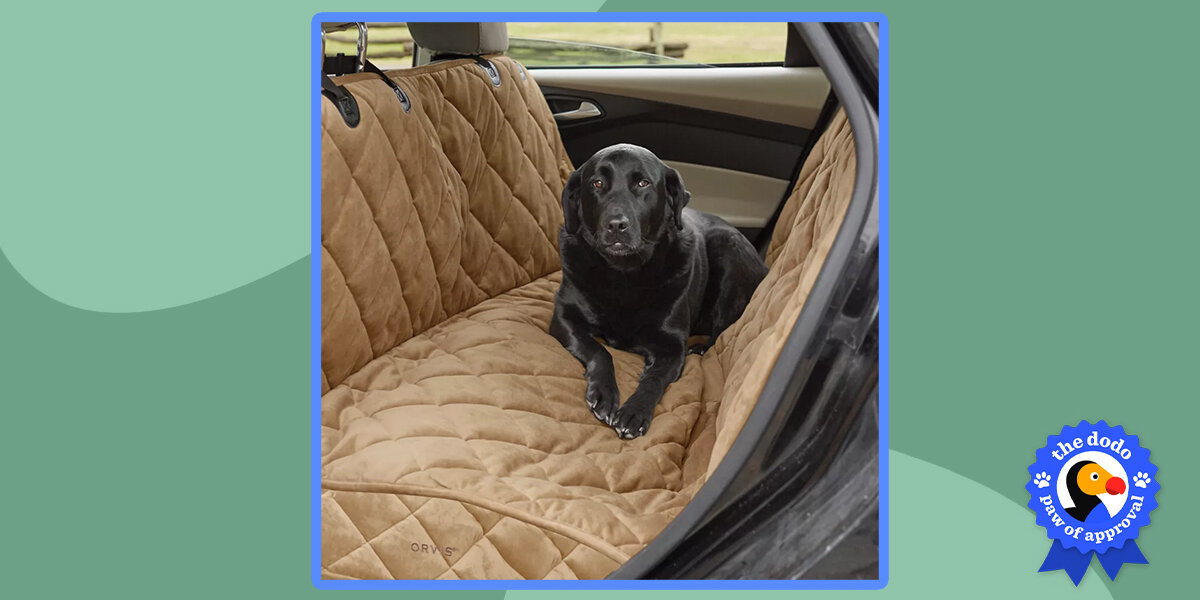 Orvis back seat dog cover deals