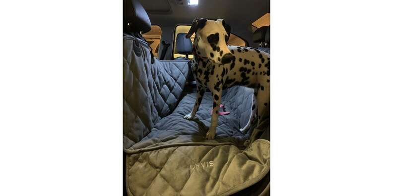 Orvis dog hammock car deals