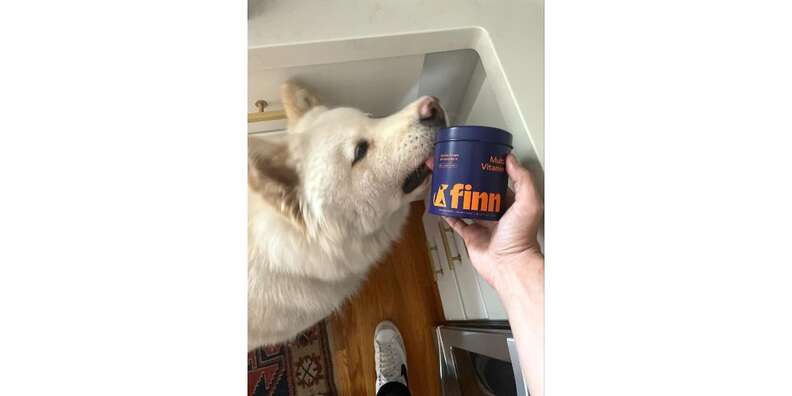 dog licking Finn Multivitamin bottle
