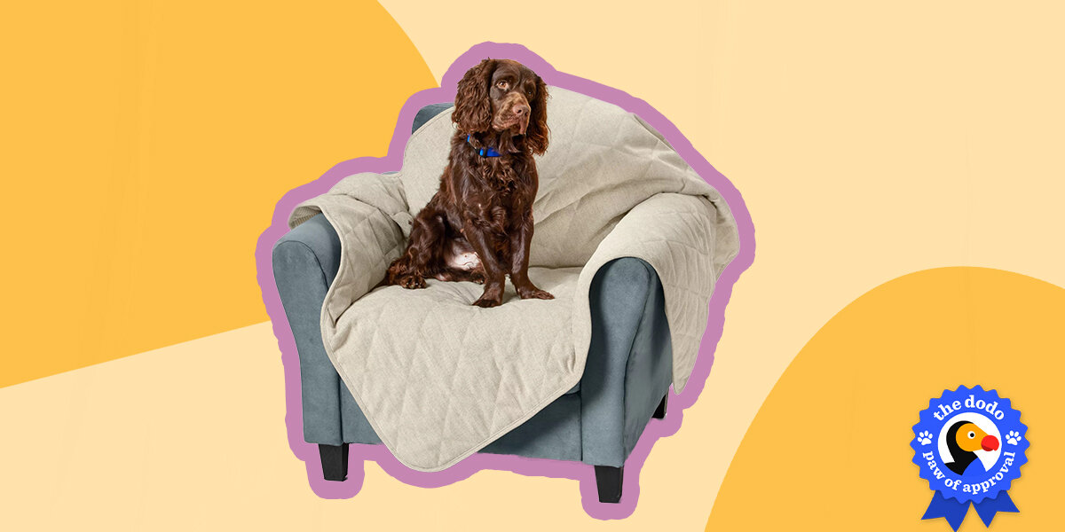 Sure Grip Dog Furniture Protector