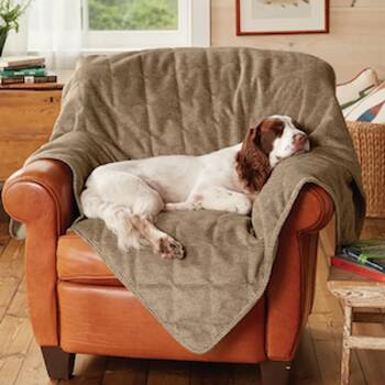 Orvis dog outlet couch