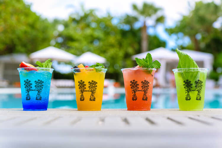 Best Miami Pool Parties 2025 Guide to Miami’s Splashiest