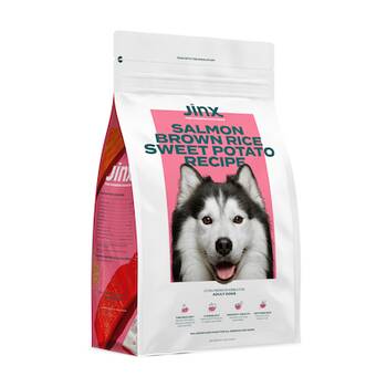 Canidae salmon outlet dog food review