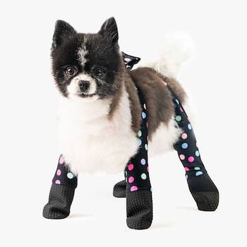 Walkee Paws Dog Leggings, The World's First Dog Leggings That are Dog  Shoes, Dog Boots and Dog Socks All in One, for Protecting Your Pet from Hot