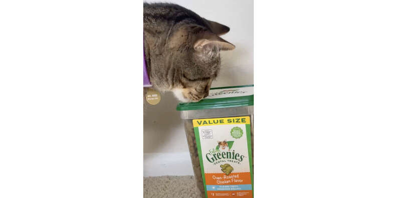 Greenies cat 2025 treats reviews