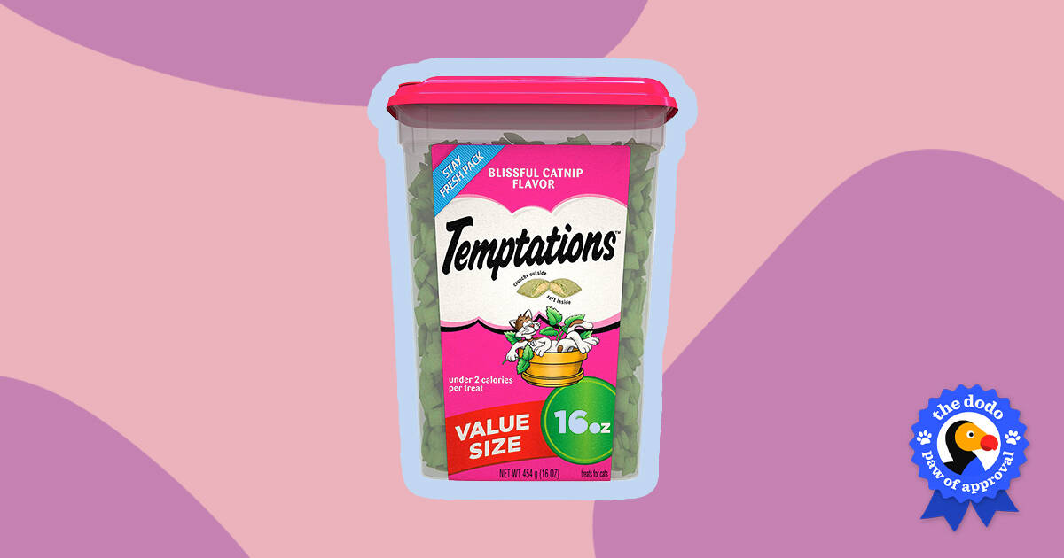 Can humans eat temptations cat clearance treats