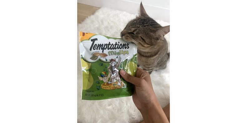 Can kittens eat store temptations