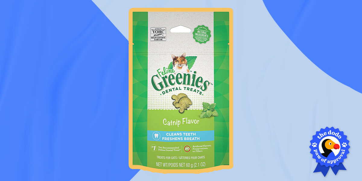 Feline Greenies Dental Treats Reviews Paw of Approval The Dodo