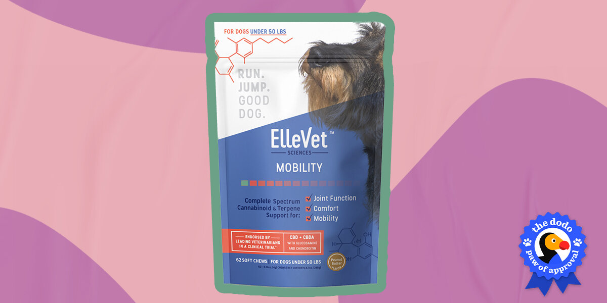 Ellevet chews sale