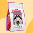 jinx dog food honest review