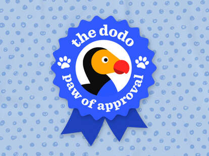 the dodo paw of approval logo