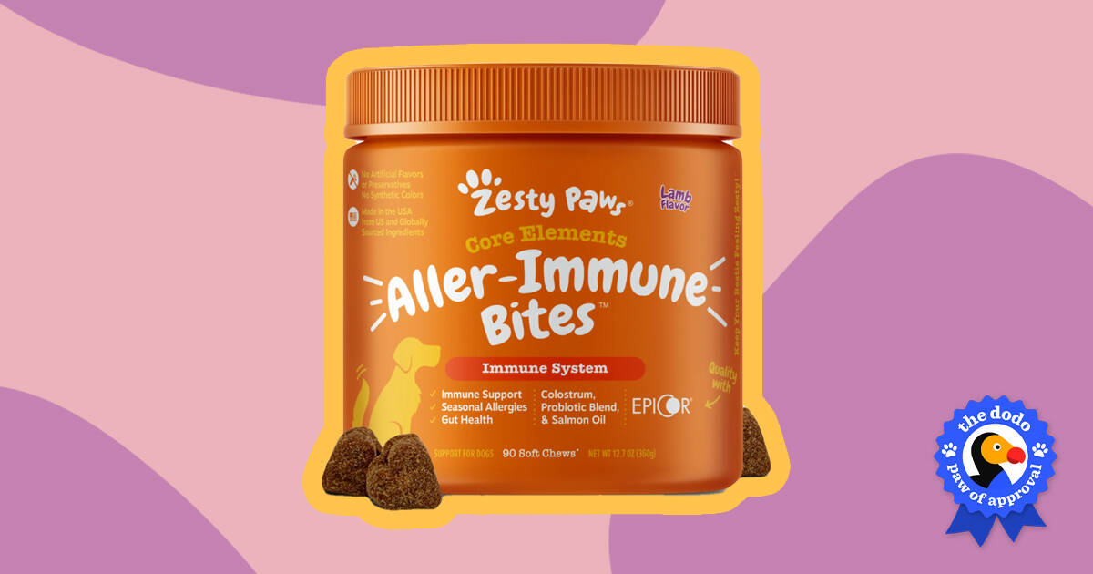 Zesty allergy clearance immune bites