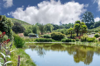 Benziger Family Winery