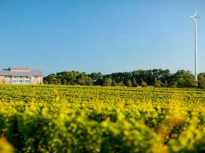 Kontokosta Winery