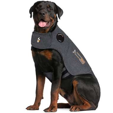 : NCAA Ohio State Buckeyes Dog Anxiety Shirt Calming Soothing  Solution Vest, for Dogs Cats with Anxiety, Fears, Fireworks, Loud Noises,  Dark, Lonely Keeps Dogs Calm Feeling Safe, Relaxing Jacket Large :