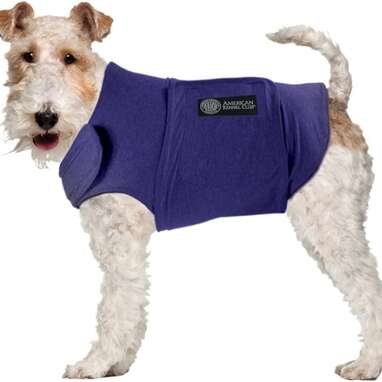 Dog calming outlet sweater