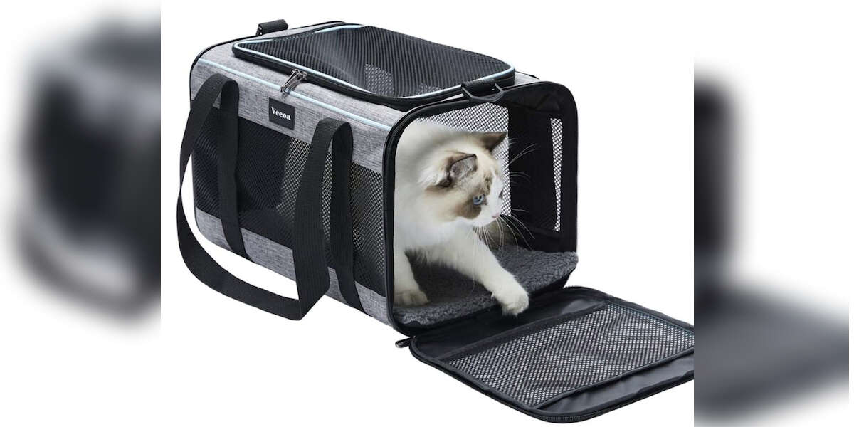 11 Best Cat Carriers For The Car DodoWell The Dodo