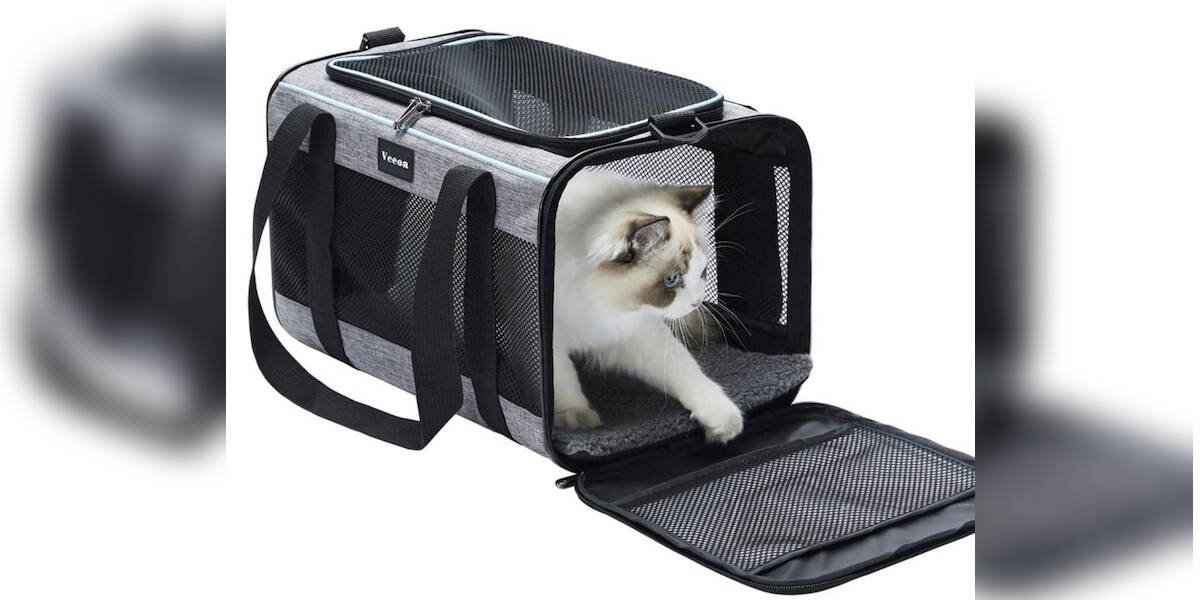 11 Best Cat Carriers For The Car - DodoWell - The Dodo
