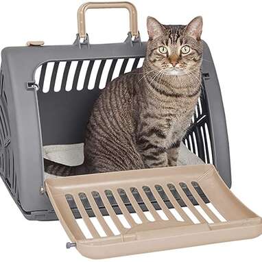 Best cat carrier clearance for cross country trip