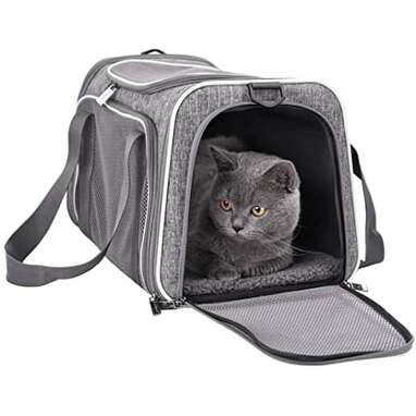 The Best Cat Carriers, According to Veterinarians - DodoWell - The Dodo