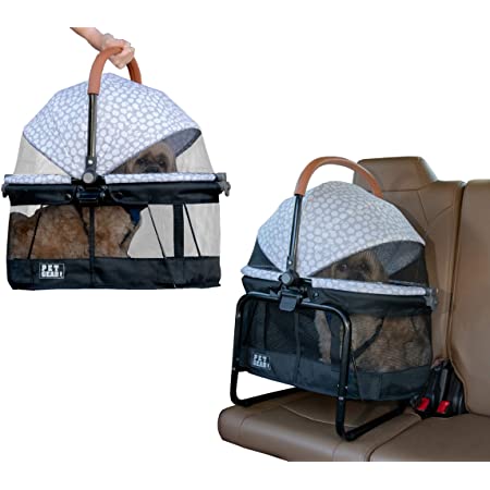 11 Best Cat Carriers For The Car - DodoWell - The Dodo