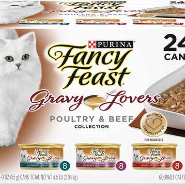 Best wet cat food with clearance gravy