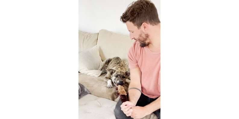 zippy paws skinny peltz dog toys