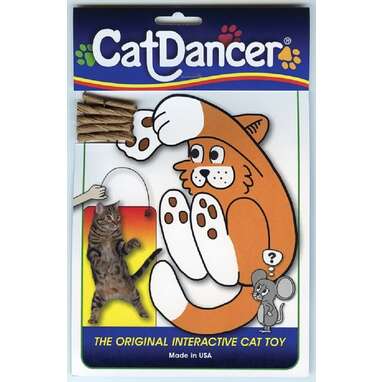 Cat Dancer 101