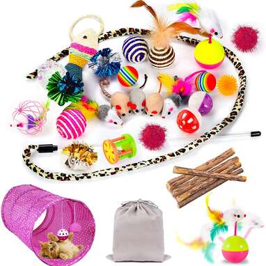 Mibote 30-Piece Assorted Toys