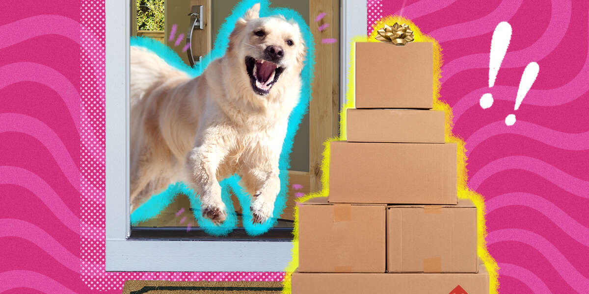 The Best Amazon Prime Day Pet Deals For Cats And Dogs In 2021