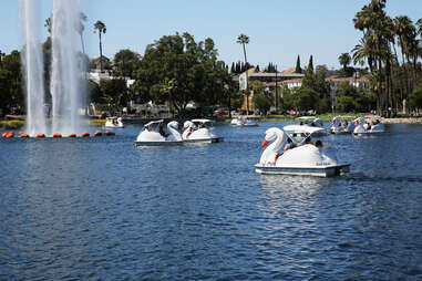 swan pedal boats in echo park la